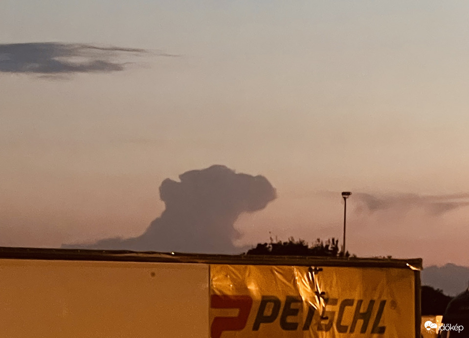 A nőstény oroszlán pihen:)