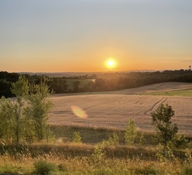 Naplemente