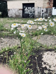 sztimea820723 fotója