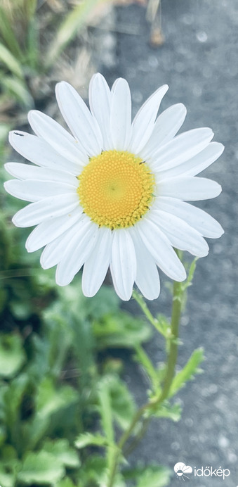 :)
