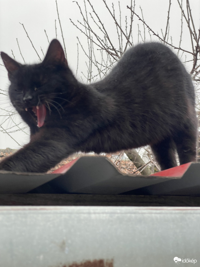 De unalmas ez a nap…