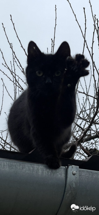 Küldöm a szerencsét mindenkinek 2026-ra! Boldog Új Évet!:)