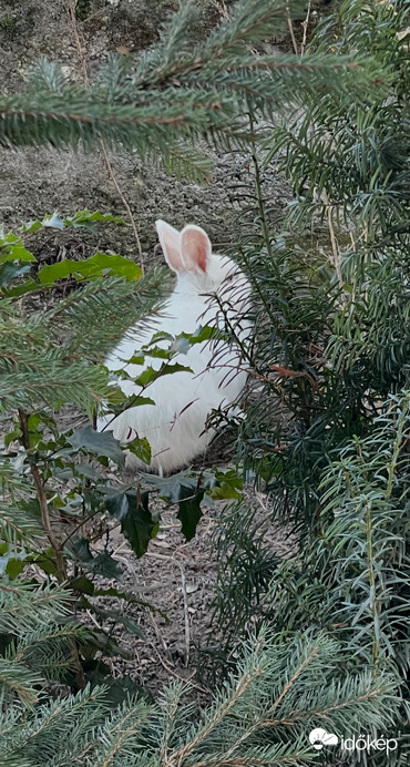 Vajon megfognak találni???:))