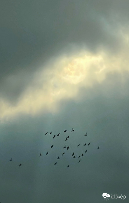 Szabadság vándorai