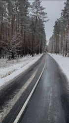 Csodálatos erdei út…:)