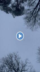 Csodálatos hóesés