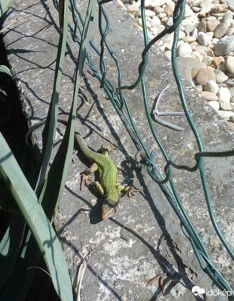 Budapest XVIII.ker - Pestszentlőrinc