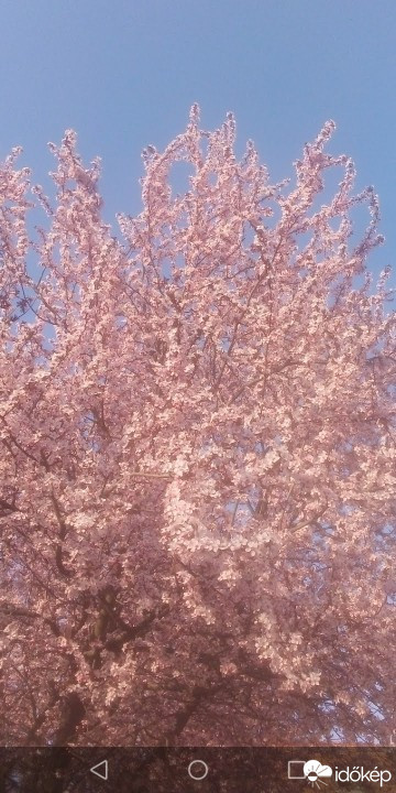 Budapest XVIII.ker - Pestszentlőrinc