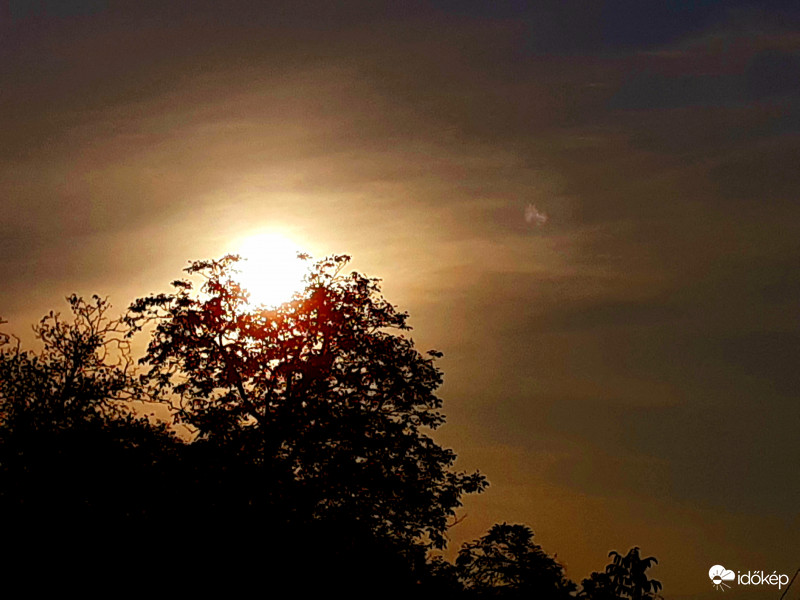 Vidám napot Mindenkinek!