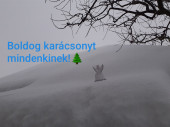 szupercella18 fotója