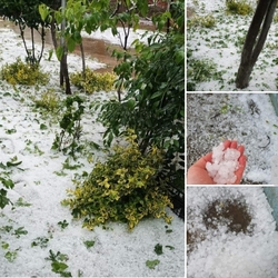 Jégverés Bihar megyében