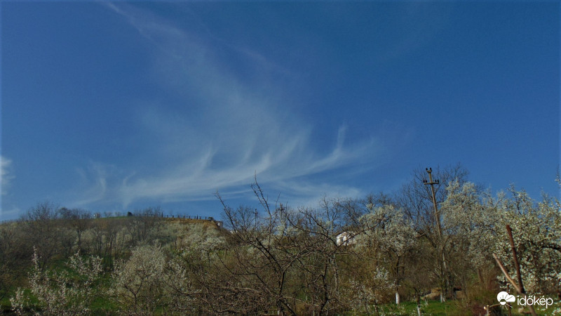 Délutáni cirrusok északnyugat felé