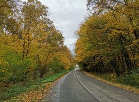 szupercella18 fotója