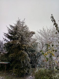 szupercella22 fotója