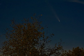 A Tsuchinchan-ATLAS üstökös