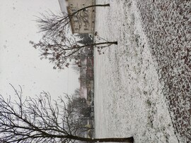 Nyergesújfalu