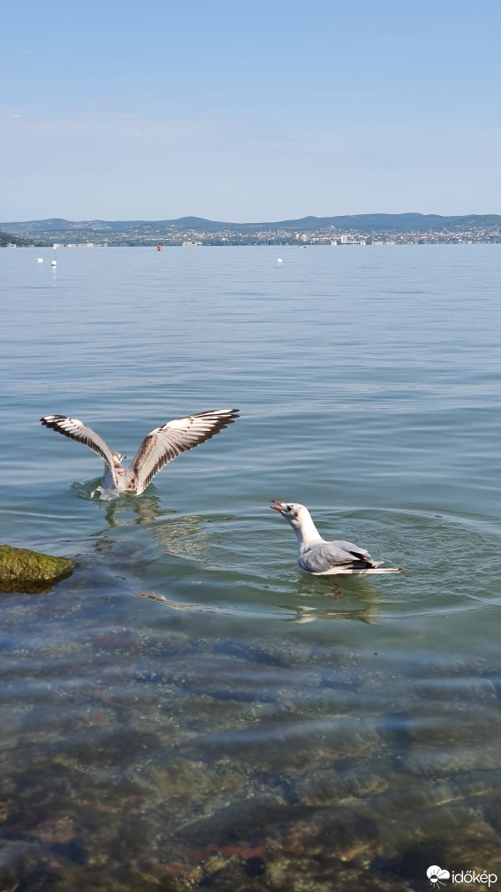 Siófok