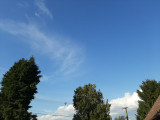 Nagykozár