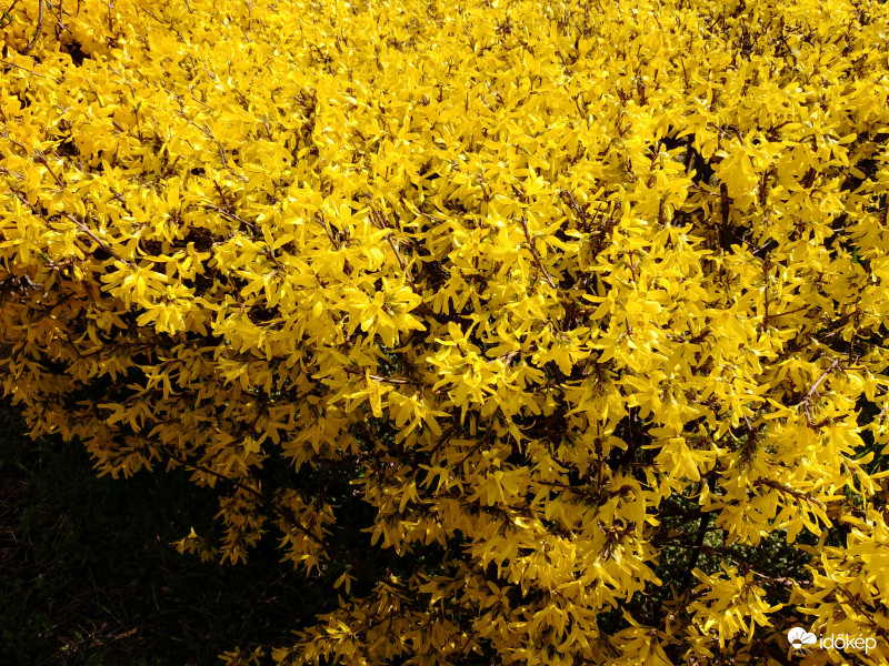 Budapest 15. kerület