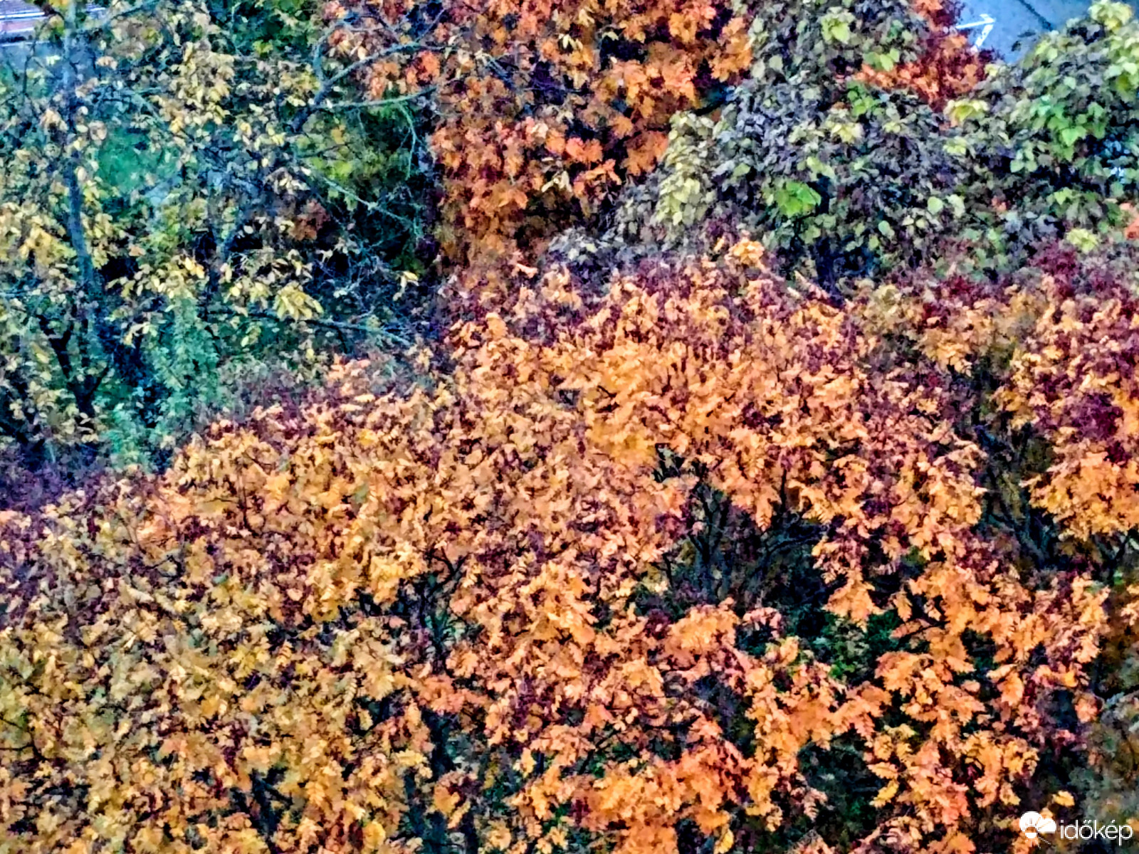 Napnyugtakor a hatodikról