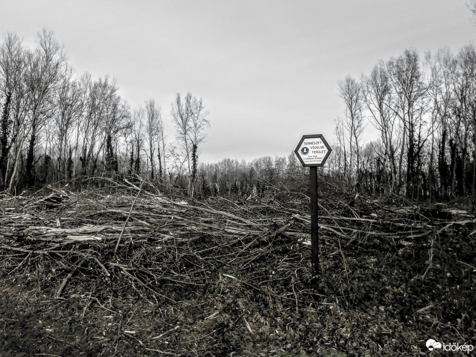 No ide se kirándulok többet :(