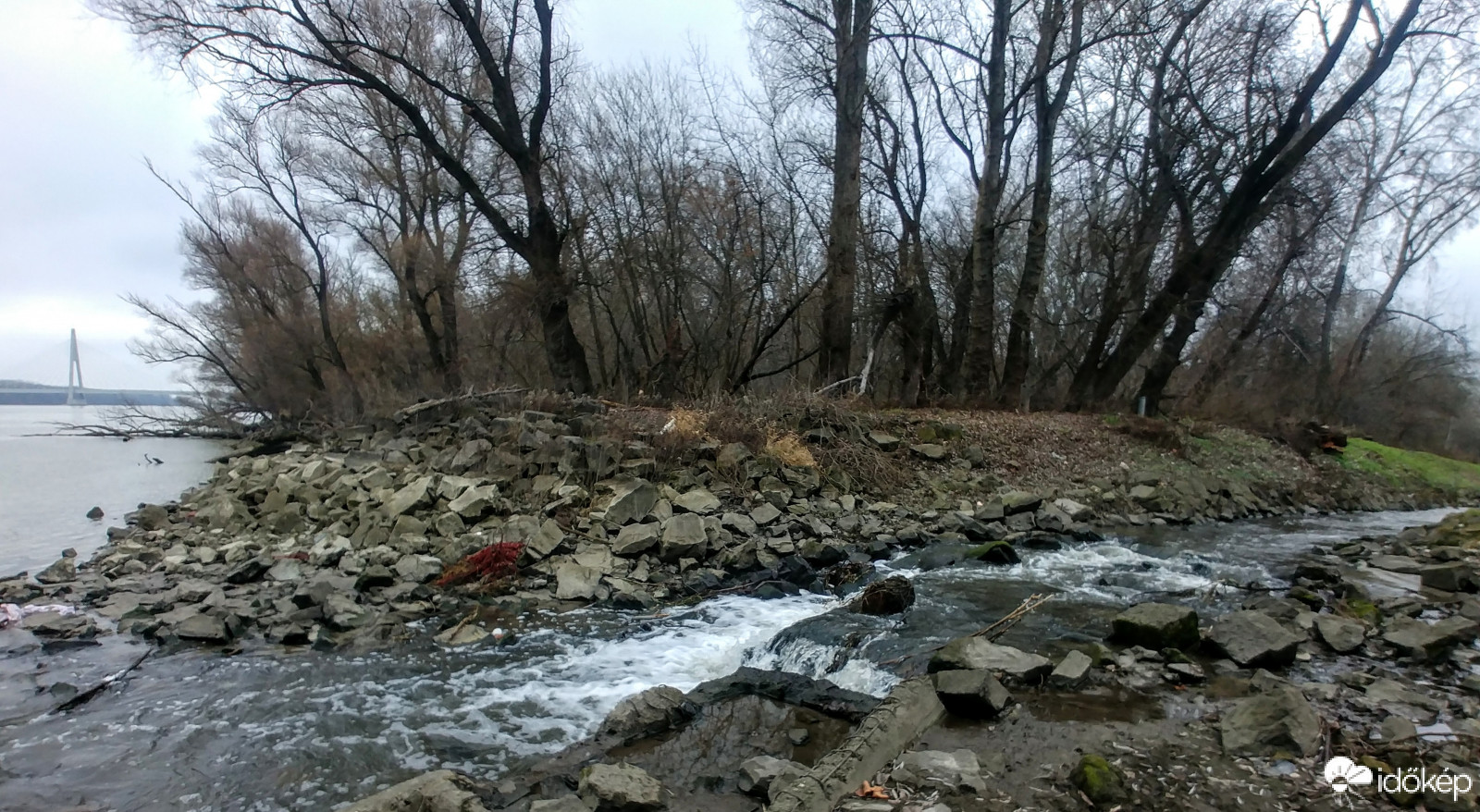 Szilas patak torkolata a Dunába_2