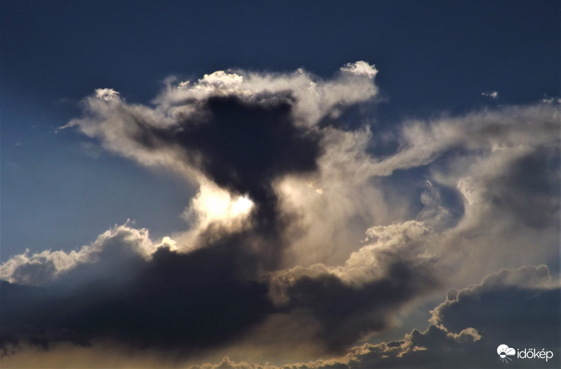 Jövevény közelebbről