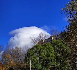 tagota fotója