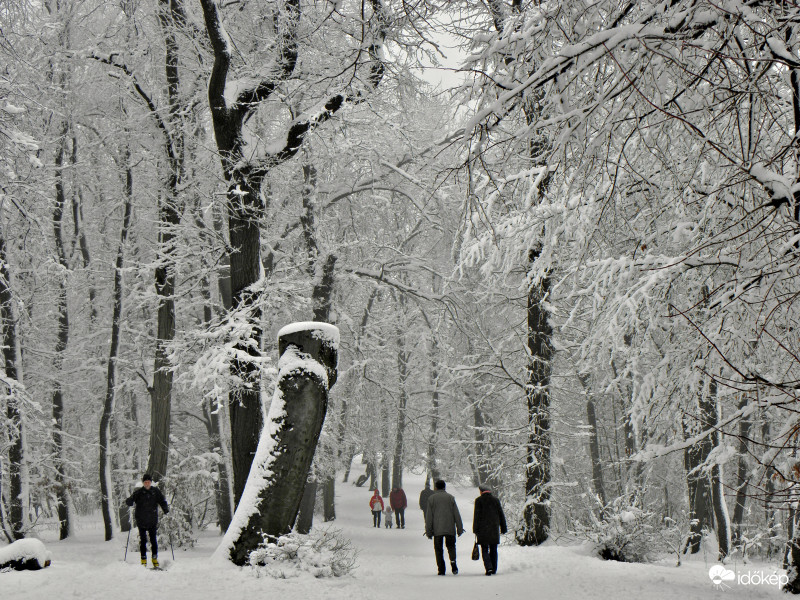 Mesebeli táj-Normafa
