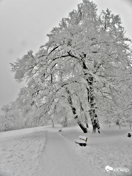 Mesebeli táj-Normafa