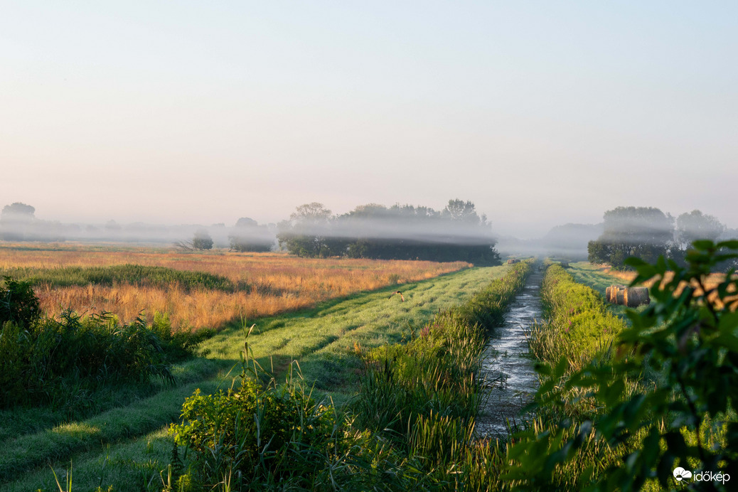 Reggeli hűvös párás időből :) 