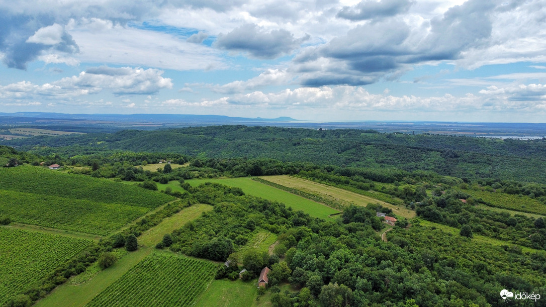 Pogányvári Szőlőhegy