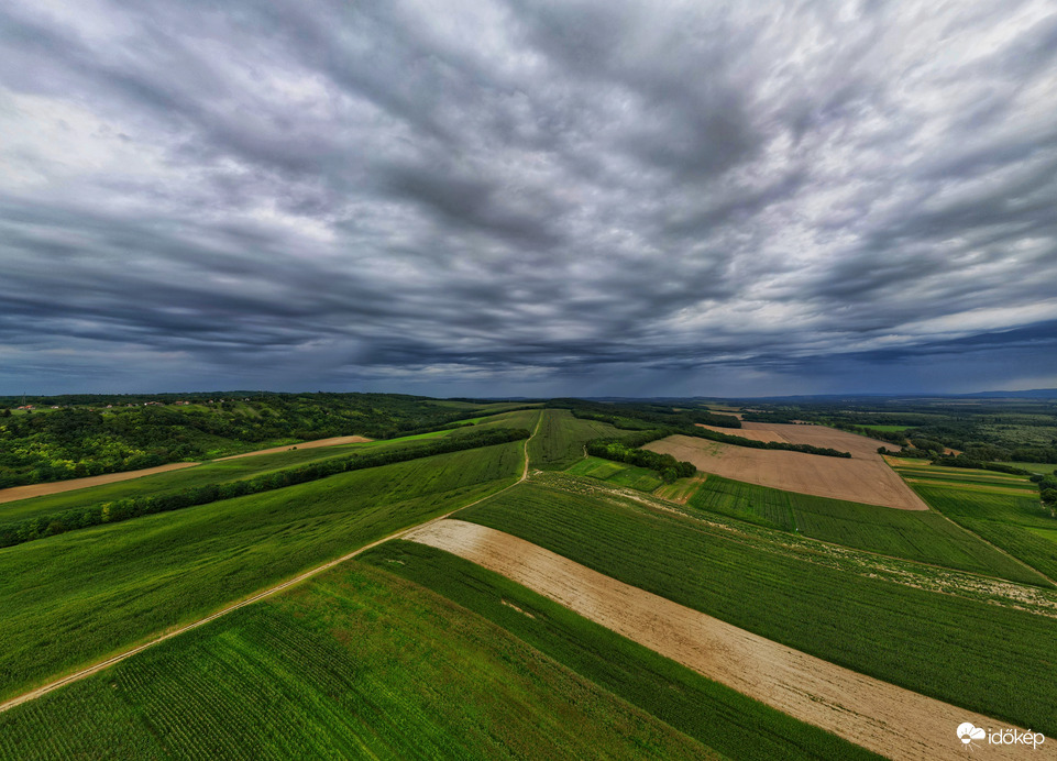 Szépen lassan lopakodik 
