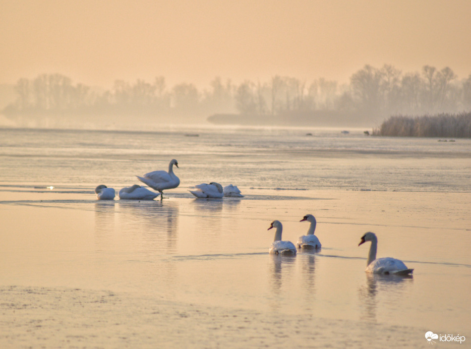 Kis-Balaton