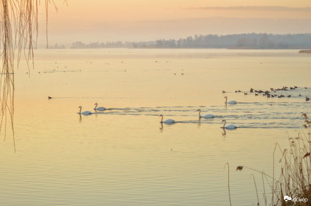 Kis-Balaton
