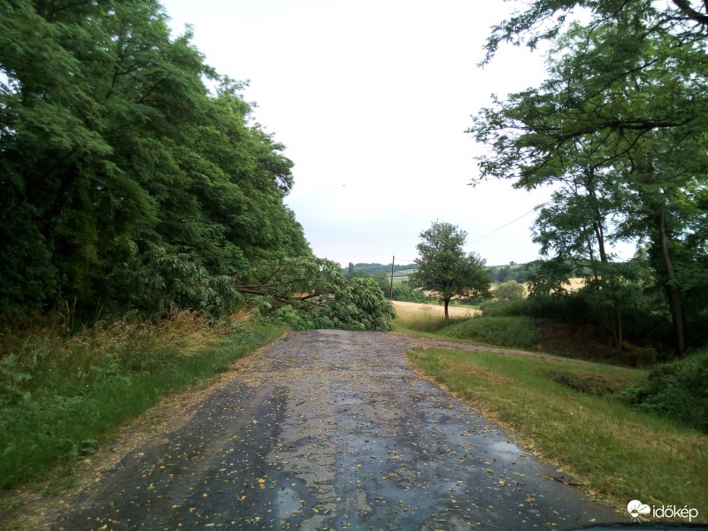 Pogányvári kilátó felè vezető út!