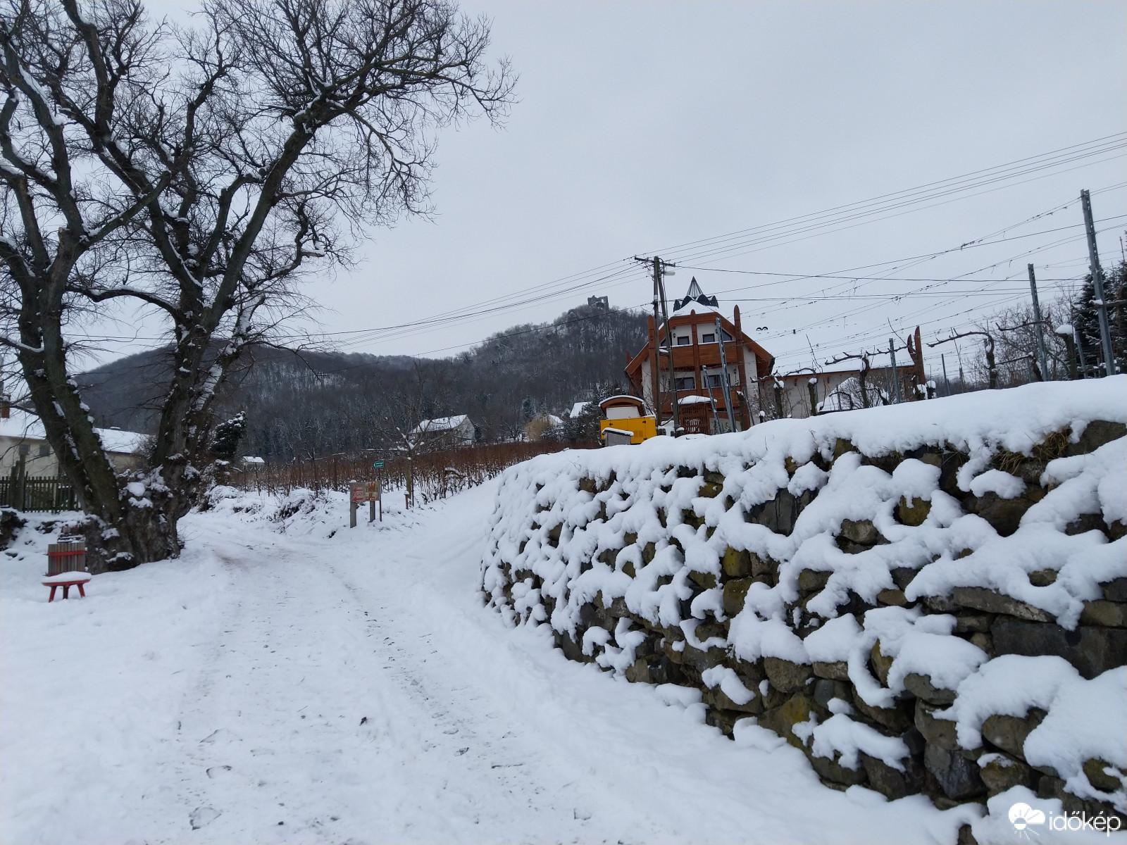 Somló