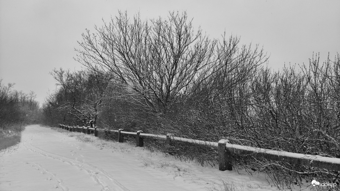 Pogányvári Szőlőhegy