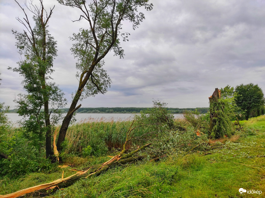 Kis-Balaton sajnos megsínylette....