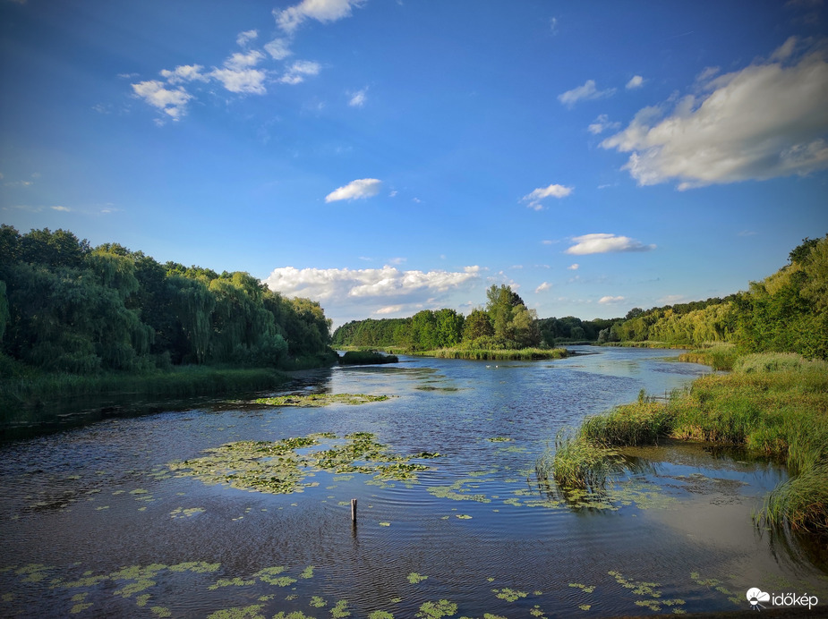 Kányavári sziget 