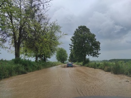 takacsakos fotója