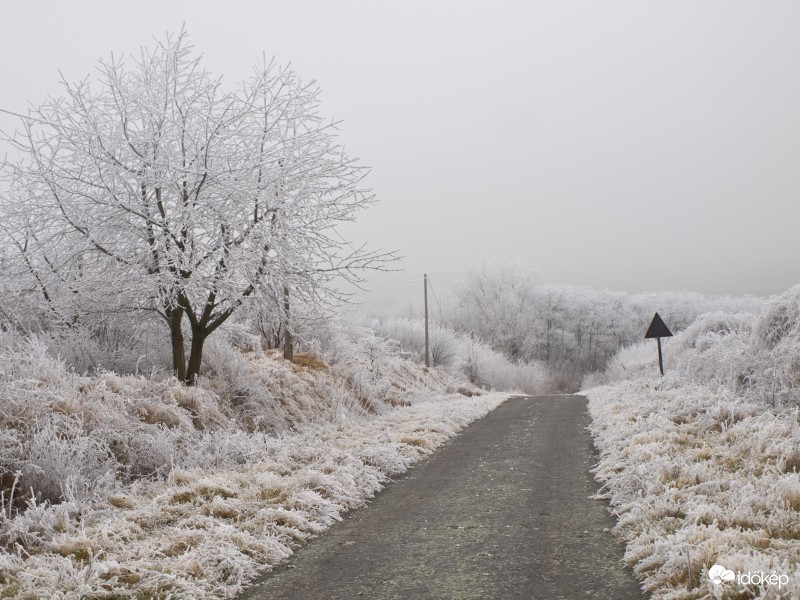 Zúzmarás meseország! 