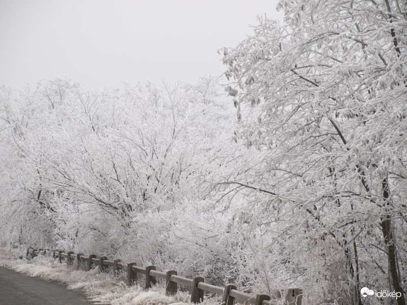 Zúzmarás Meseország