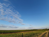 Kistarcsa