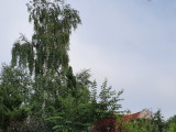 Kistarcsa