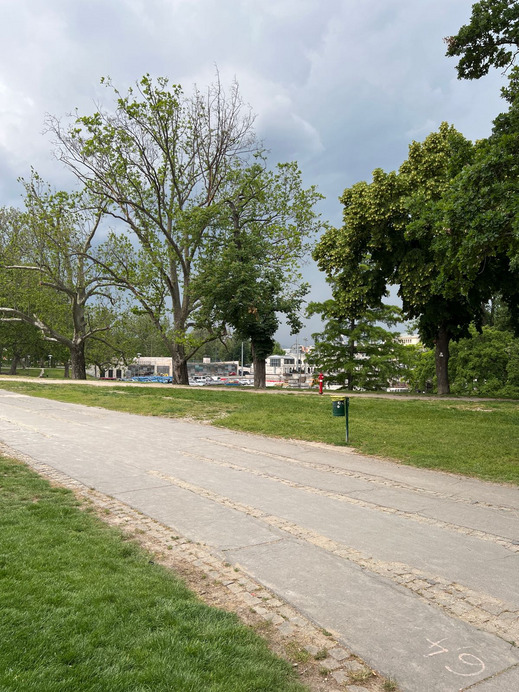 Budapest VII. ker