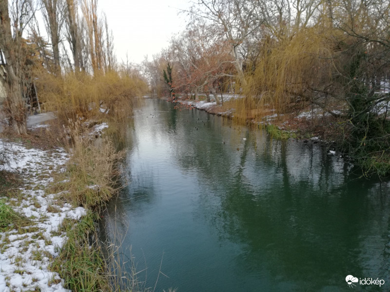 Kacsák Békéscsabán 