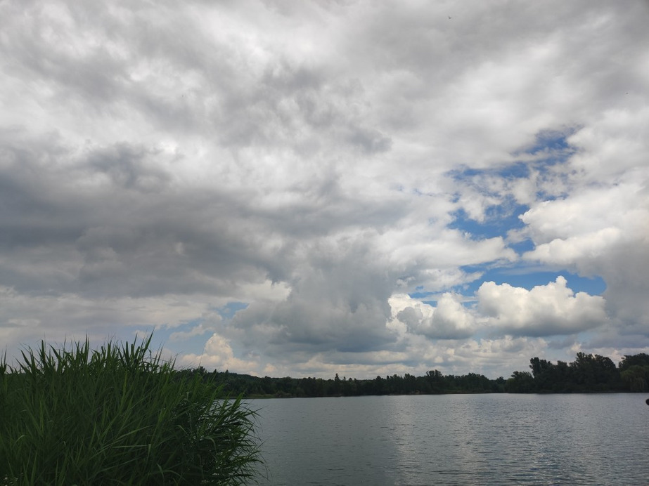 Zákány
