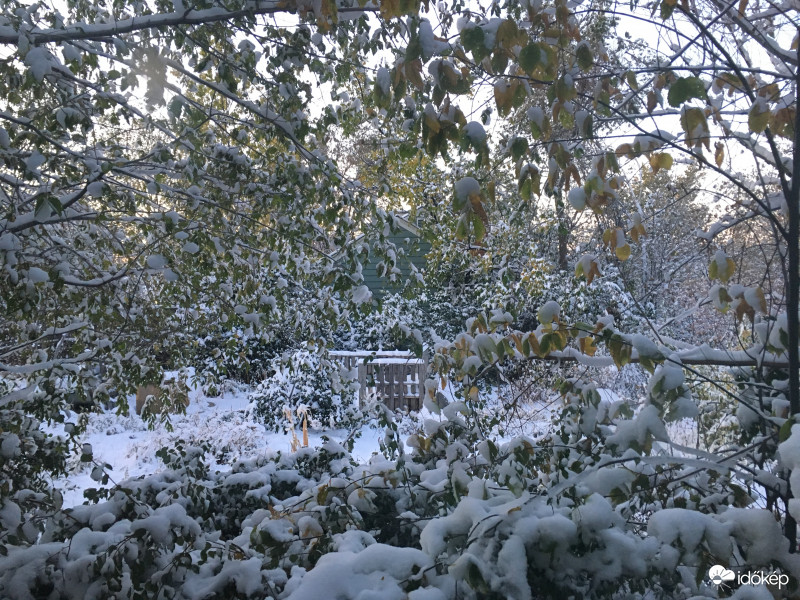 Denver, Colorado - Oktoberi hovihar