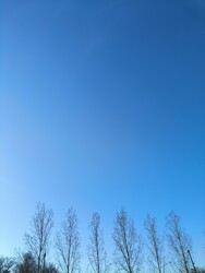 Maroslele